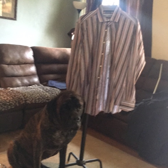 Thomas Dean Other - Men’s dress shirt Thomas Dean Other - Men’s dress shirt